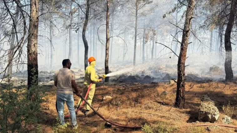 Kepez'deki yangın büyümeden söndürüldü