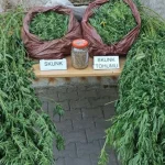 Korkuteli’nde uyuşturucu operasyonu