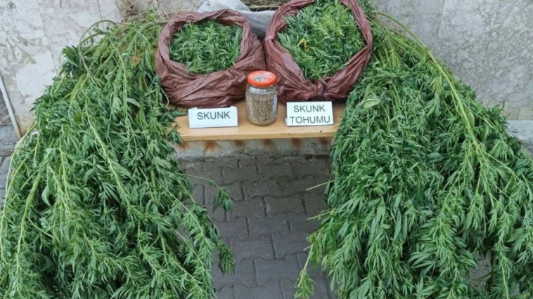 Korkuteli’nde uyuşturucu operasyonu