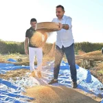 Manavgat’ın coğrafi işaretli ‘Altın Susamı’na yoğun ilgi