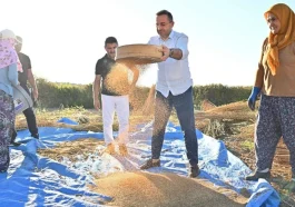 Manavgat’ın coğrafi işaretli ‘Altın Susamı’na yoğun ilgi