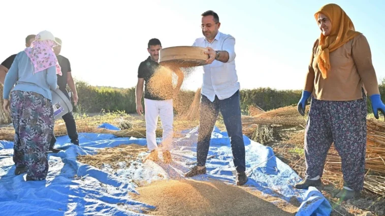 Manavgat’ın coğrafi işaretli ‘Altın Susamı’na yoğun ilgi