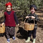 Manavgatlı minikler zeytin hasadında