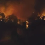 Manavgat’ta ırmak kenarındaki yangın korkuttu