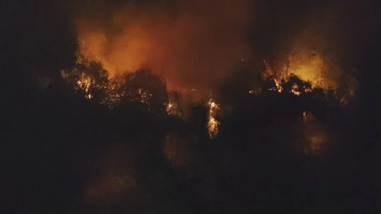 Manavgat’ta ırmak kenarındaki yangın korkuttu