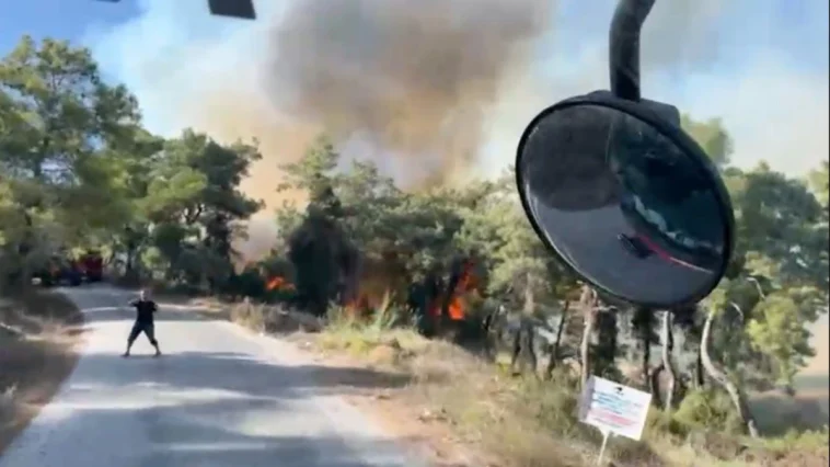 Manavgat'taki yangın kontrol altına alındı