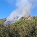 Ormanı ateşe veren 2 kişi yakalandı