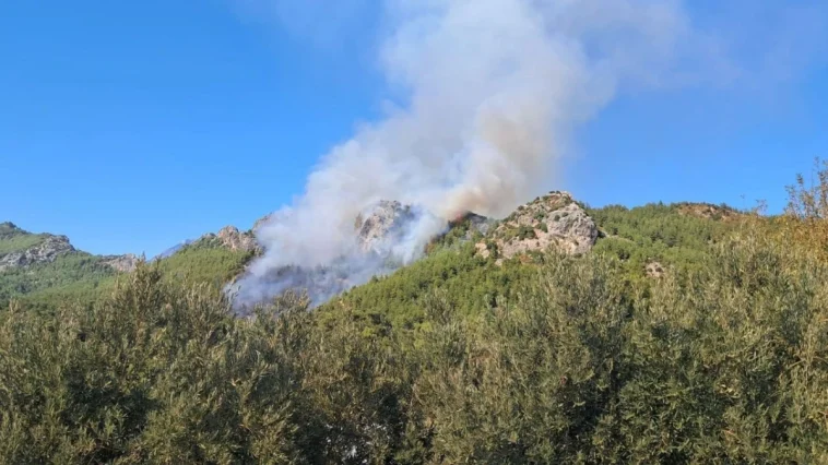 Ormanı ateşe veren 2 kişi yakalandı