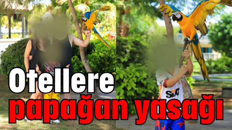Otellere papağan yasağı