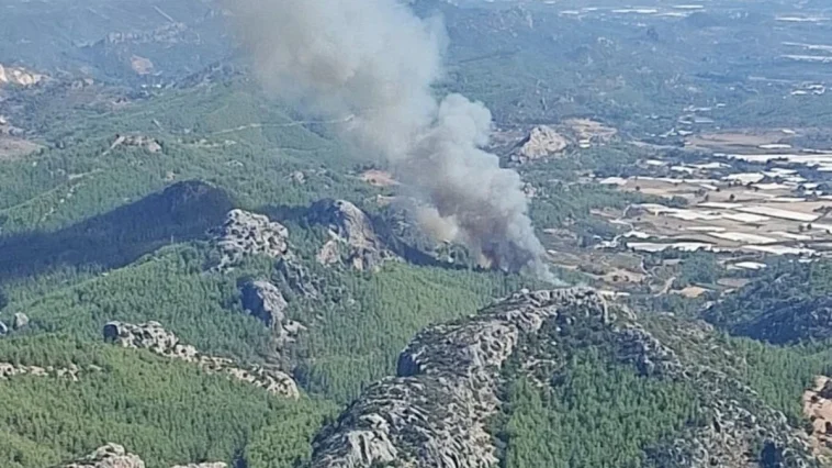 Serik'teki orman yangınına müdahale ediliyor