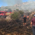 Serik'teki yangın 1 saatte kontrol altına alındı