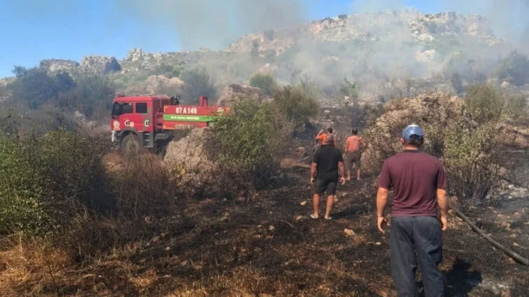 Serik'teki yangın 1 saatte kontrol altına alındı
