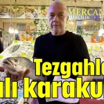 Tezgahların kralı karakulak