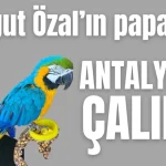 Turgut Özal'ın papağanı Antalya'da çalındı