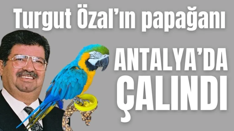 Turgut Özal'ın papağanı Antalya'da çalındı