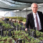 Kepezden kurakçıl peyzaj hamlesi