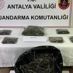 Alanya’da bir evde 800 gram esrar ele geçirildi