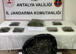 Alanya’da bir evde 800 gram esrar ele geçirildi