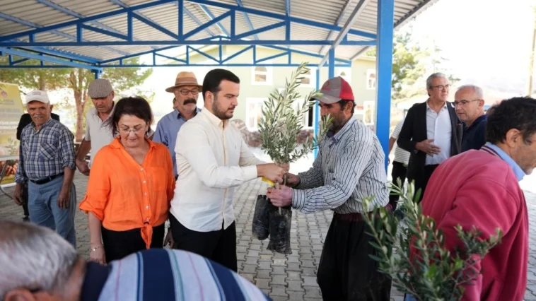 Alanya'daki yangın bölgesinde zeytin fidanı dağıtıldı