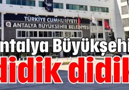 Antalya Büyükşehir didik didik