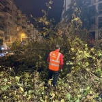 Antalya Büyükşehir ekipleri yağışa anında müdahale etti
