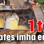 Antalya'da 1 ton patates imha edildi