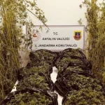 Antalya'da 53 kilo uyuşturucu ele geçirildi