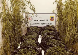 Antalya'da 53 kilo uyuşturucu ele geçirildi