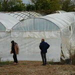 Antalya’da sağanak seraları da vurdu