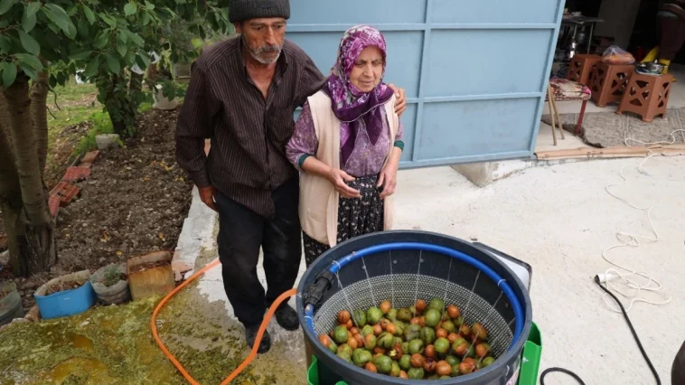 Büyükşehir’in ceviz soyma makineleri üreticilerin hizmetinde