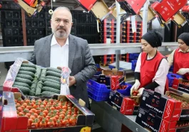 Domates ve salatalıkta Ukrayna krizi