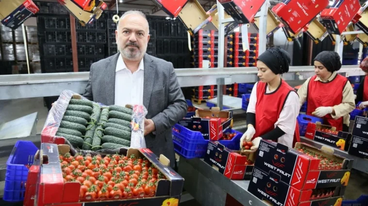 Domates ve salatalıkta Ukrayna krizi