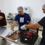 Ejder meyvesi kurutularak pazara sunuluyor