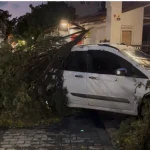 Fırtınanın devirdiği ağaç park halindeki aracın üzerine düştü