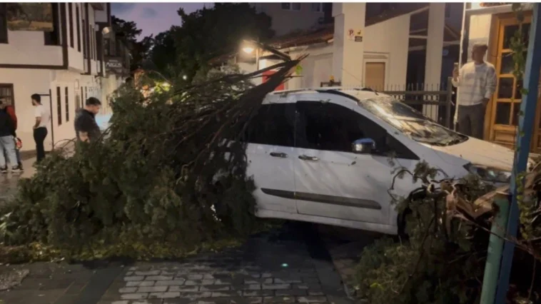 Fırtınanın devirdiği ağaç park halindeki aracın üzerine düştü