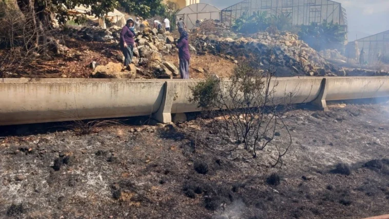 Gazipaşa'da zirai alanda yangın büyümeden söndürüldü