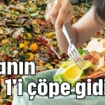 Gıdanın 3'te 1'i çöpe gidiyor