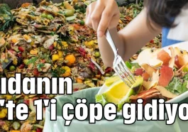 Gıdanın 3'te 1'i çöpe gidiyor