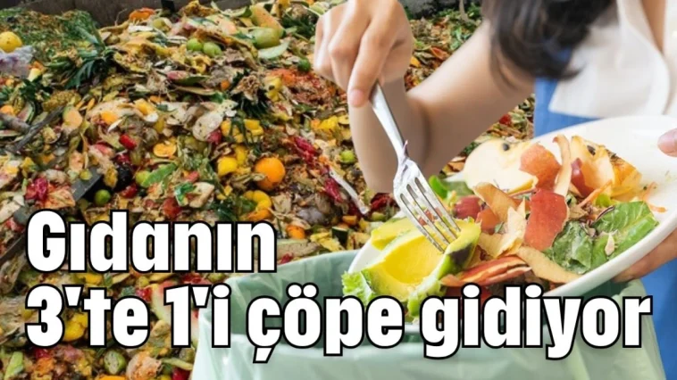 Gıdanın 3'te 1'i çöpe gidiyor