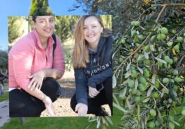 TURİZMCİLER RAMADA KAZDAĞLARI’NDA ZEYTİN HASADINDA BULUŞTU