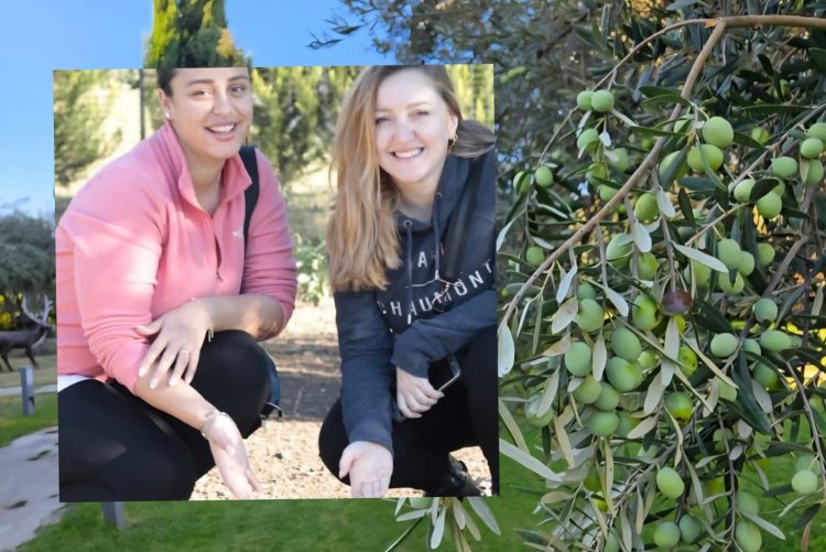 TURİZMCİLER RAMADA KAZDAĞLARI’NDA ZEYTİN HASADINDA BULUŞTU