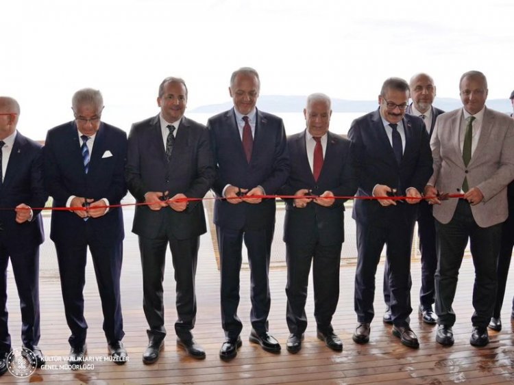 image_750x_69030b1a82671-1