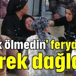 'Kalk ölmedin' feryatları yürek dağladı