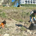 Kemer'de yabancı uyruklu kadınlardan örnek temizlik etkinliği