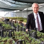 Kepez’den kurakçıl peyzaj hamlesi