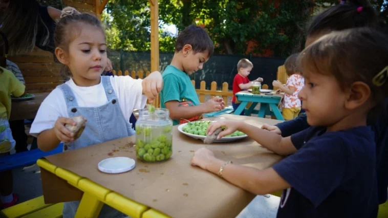 Konyaaltılı minikler zeytin işlemeyi öğrendi