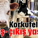 Korkuteli'ne giriş- çıkış yasak