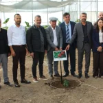 Kumluca'da tropikal serada kahve denemesi başladı