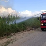 Manavgat'ta uyarılara rağmen dökülen çöpler yangına neden oldu