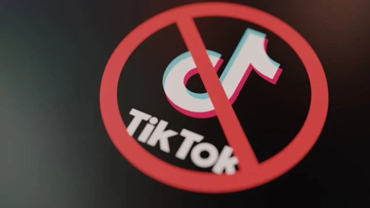 MHP'den TikTok talebi